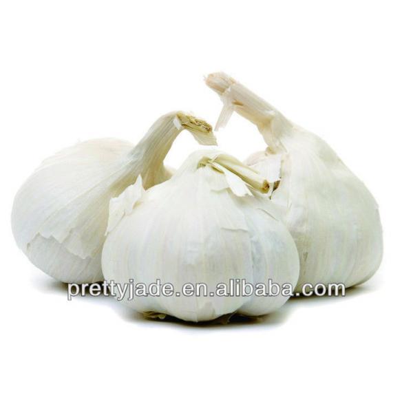 coldroom red and white garlic #1 image