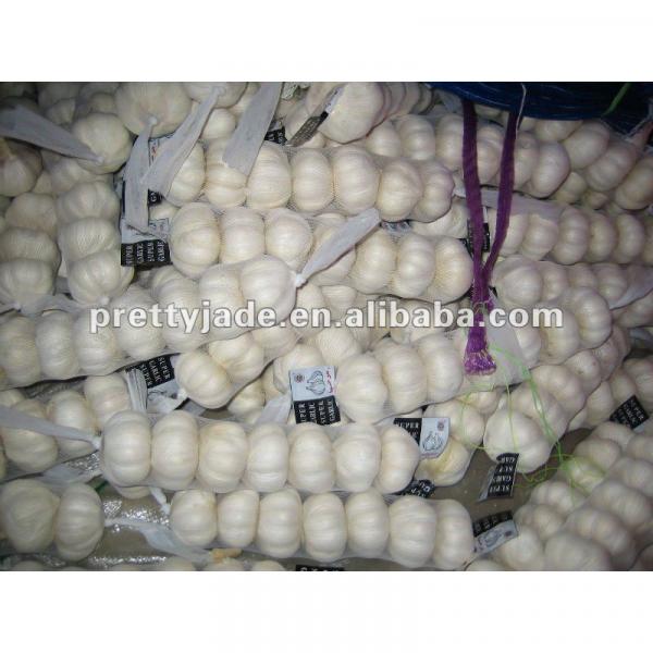 2013 China fresh garlic #1 image