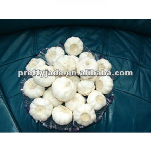 Chinese garlic for export #1 image