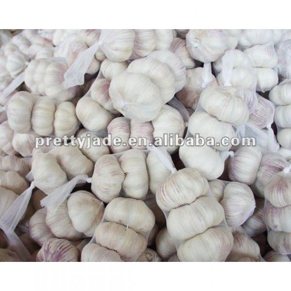 Chinese fresh garlic 2013 crop #1 image