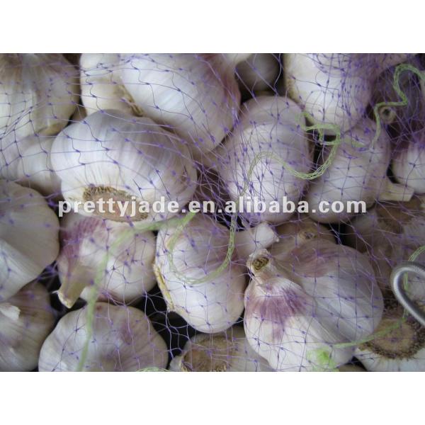 china fresh red garlic #1 image