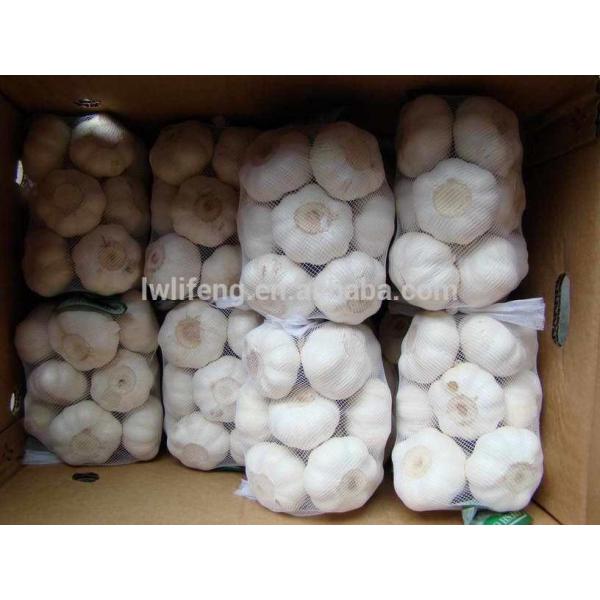 2017 chinese perfect quality pure white garlic #3 image