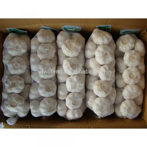 Best price 5.0cm White Garlic / fresh Garlic / Chinese garlic #2 image