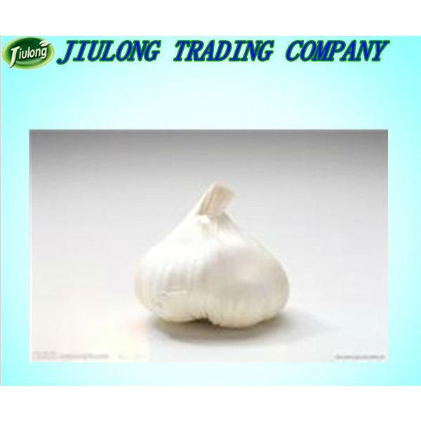 Chinese natural vegetable seeds garlic #1 image