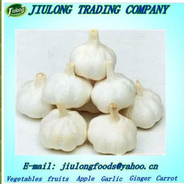 Natural fresh garlic price #1 image