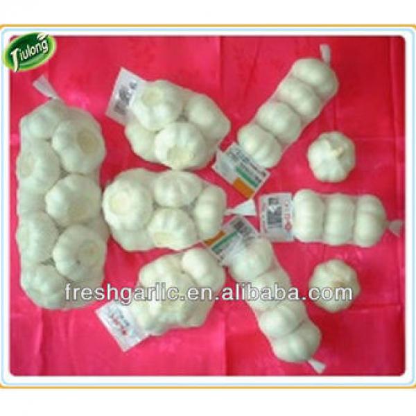 china natural fresh pure white garlic #3 image