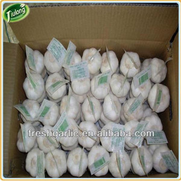 Shandong natural fresh garlic #2 image