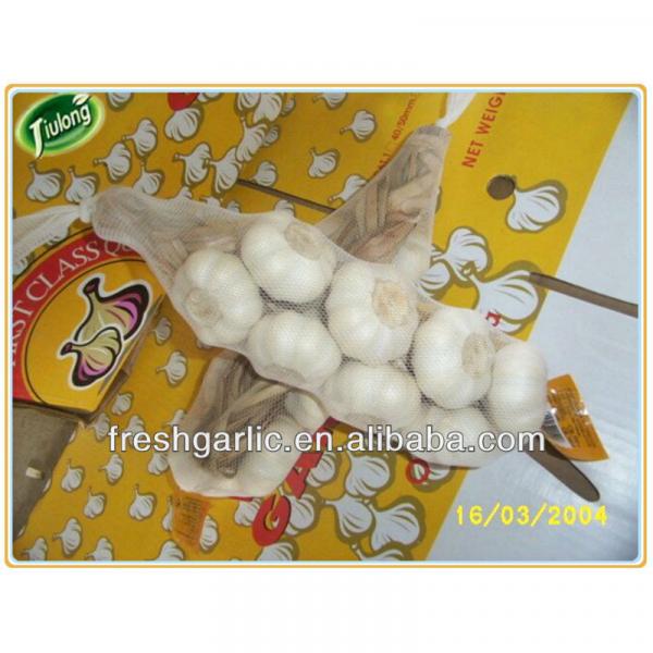 Shandong natural fresh garlic #2 image