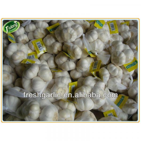 Shandong natural fresh garlic #4 image