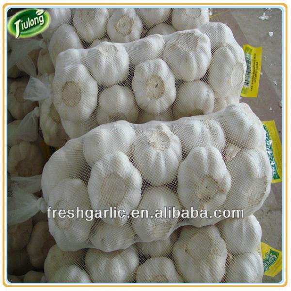 Shandong natural fresh garlic #5 image