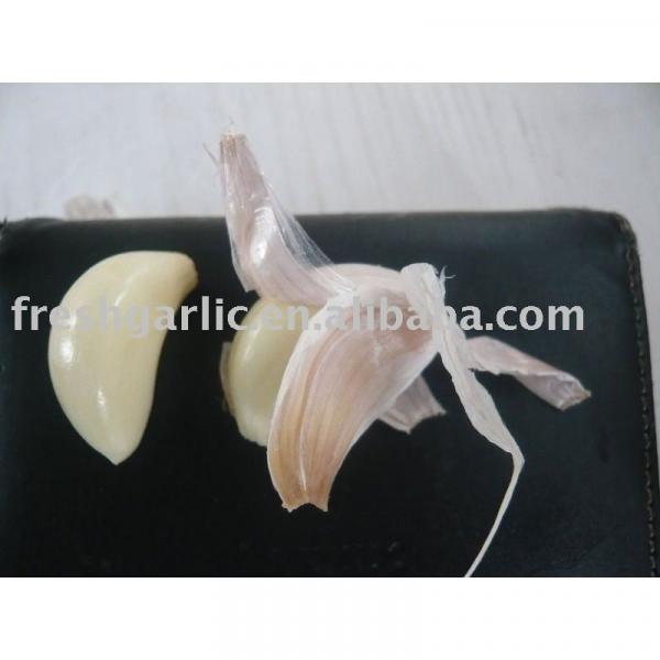 Fresh Chinese Garlic #1 image