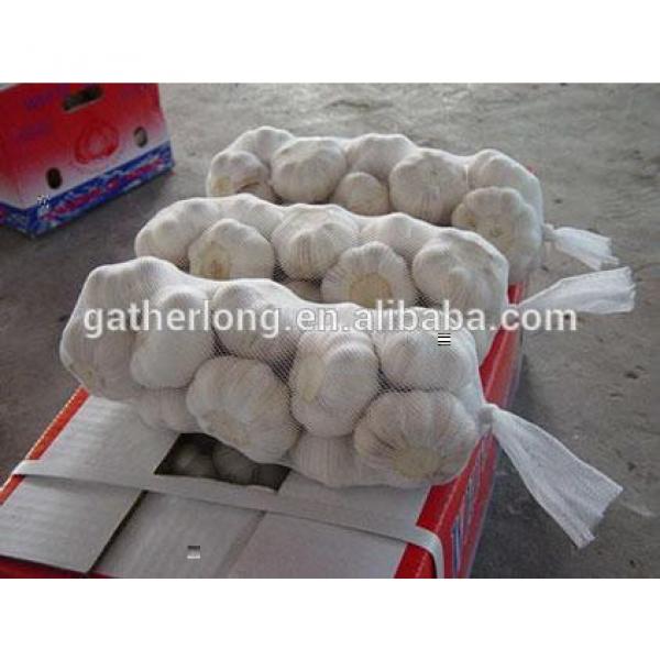 New Crop Garlic with Factory Price in own Plant #4 image