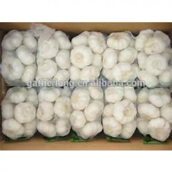 China Fresh Garlic with Good Taste #4 image