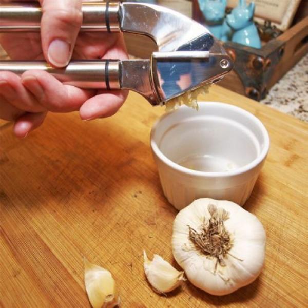 Ginger Garlic Press Mince Squeezer Crusher Silver Chopper Masher Stainless Steel #3 image