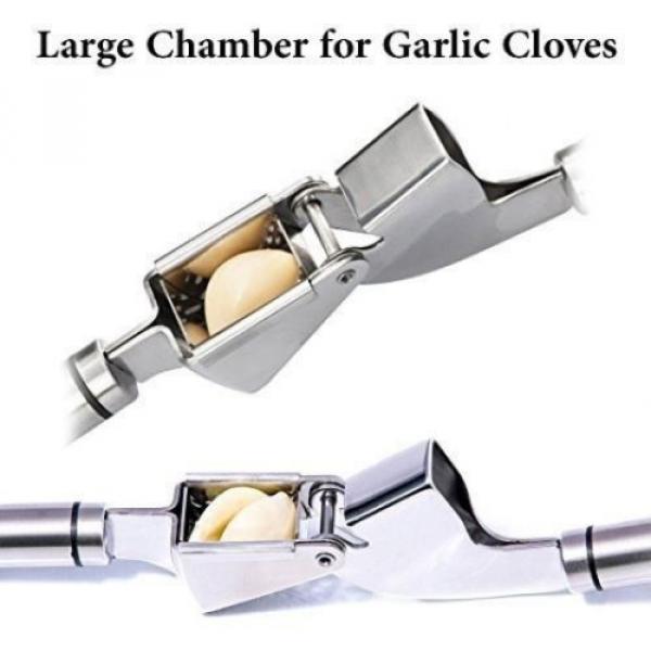 HeyLR Stainless Steel 18/8 Garlic Press Round Handle Crush Garlic Cloves And #3 image