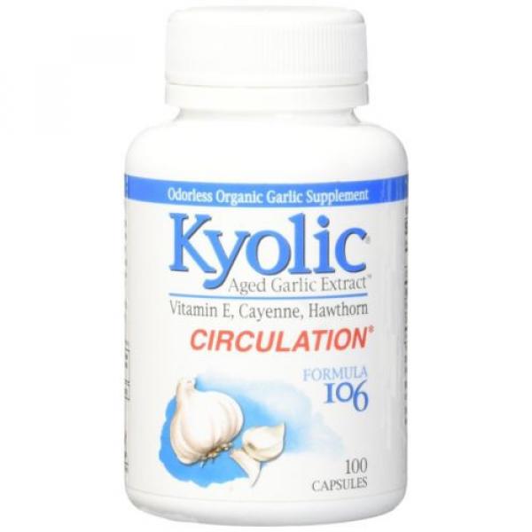 Kyolic Formula 106 Aged Garlic Extract Circulation 100 Capsules #1 image