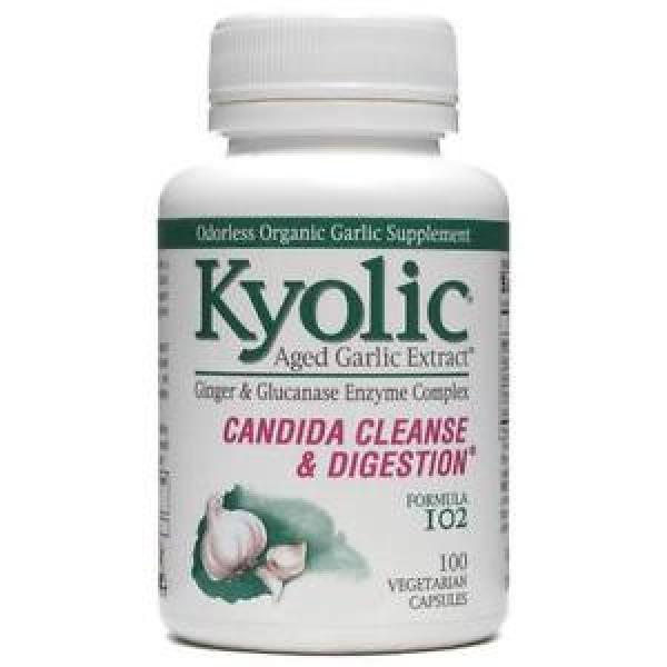 Kyolic Aged Garlic Extract plus Enzyme Formula 102 - 100 Capsules #1 image