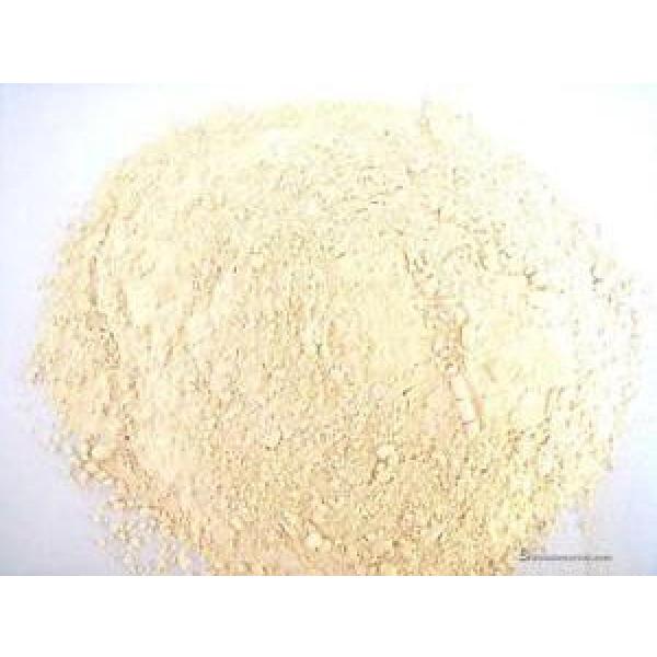 Garlic Powder Dried Seasoning spice Grade A Premium Quality Free UK P &amp; P #1 image