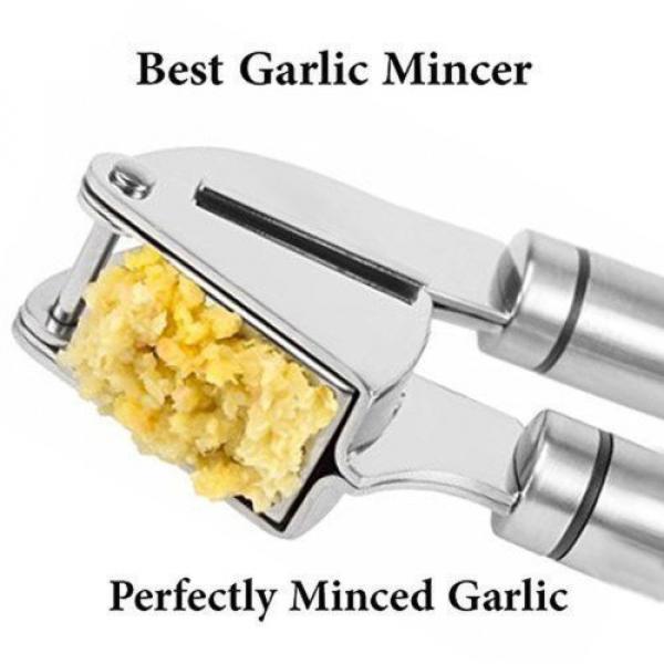 HeyLR Stainless Steel 18/8 Garlic Press Round Handle Crush Garlic Cloves and ... #4 image