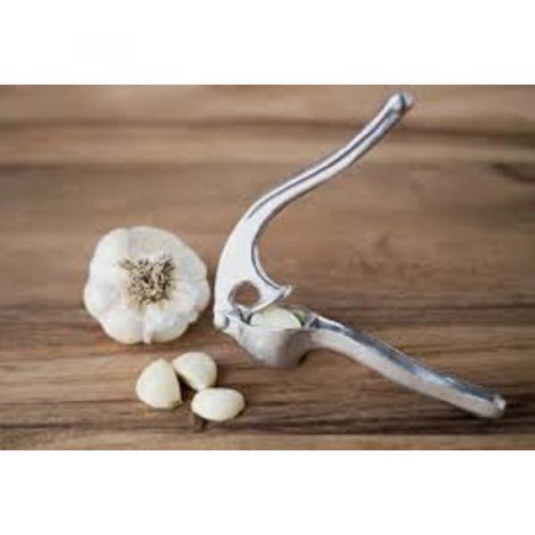 GARLIC PRESS ALUMINUM NEW MINCES GARLIC EASILY FOX RUN # 5787 FREE USA SHIPPING #2 image