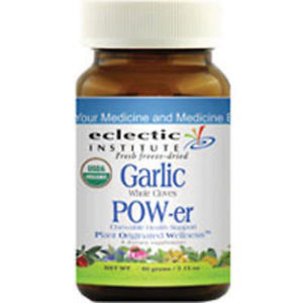 Garlic Power 60 Gram by Eclectic Institute Inc #1 image