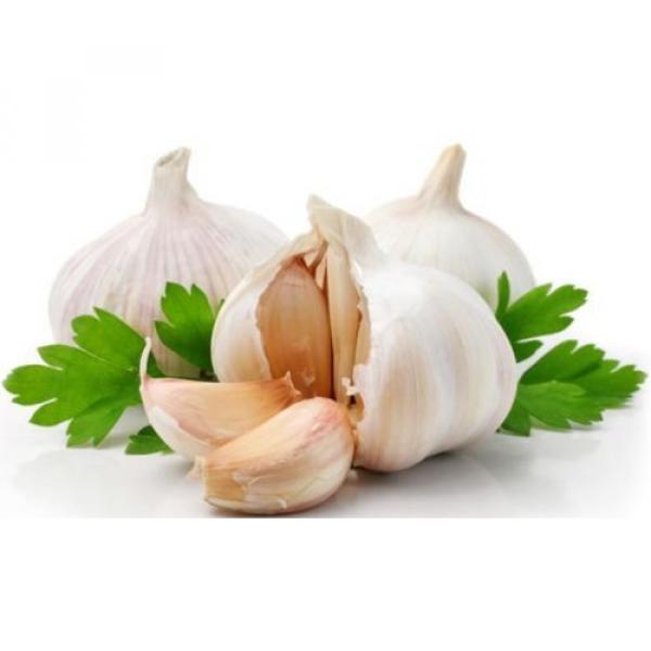 OLIMP Garlicin Odourless Garlic Extract 30caps #5 image