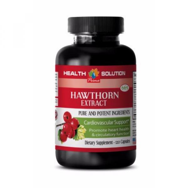 Garlic - Hawthorn Extract 665mg - Improve Cardiovascular System 1B #1 image