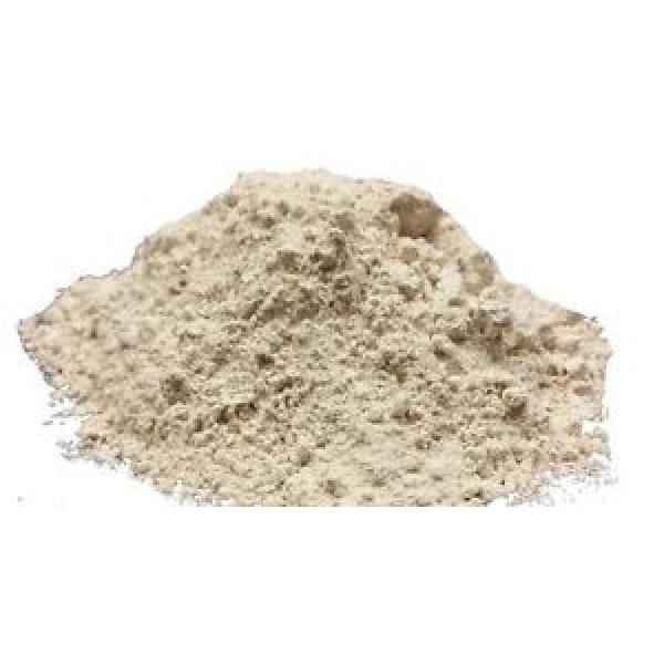 Garlic Powder - Take the Taste Test - SPICESontheWEB #1 image