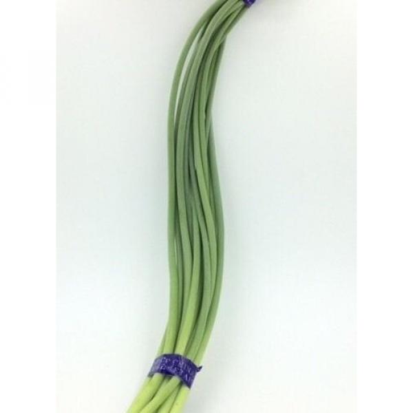 Fresh Garlic Sprouts- 200g #2 image